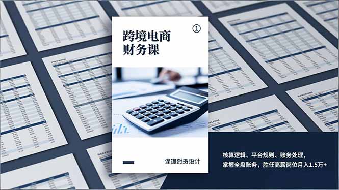 跨境电商财务课,核算逻辑、平台规则、账务处理,掌握全盘账务,胜任高薪岗位月入1.5万+-皮皮网创