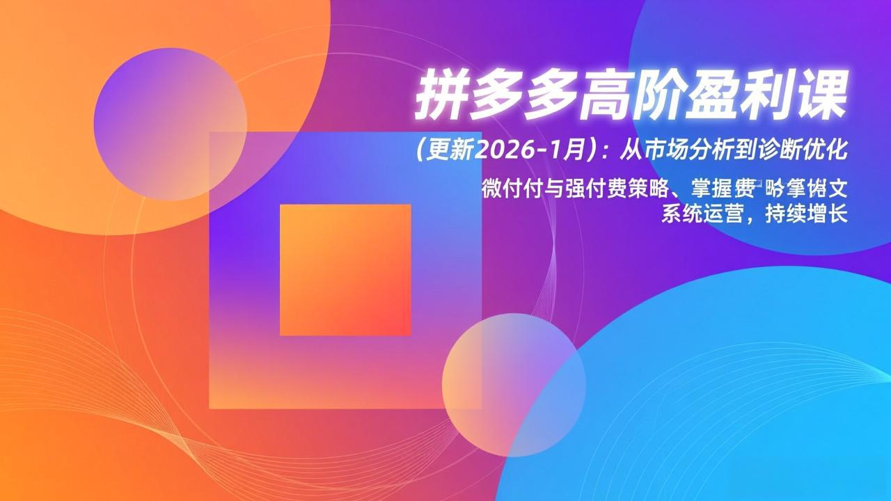 拼多多高阶盈利课(更新2026-1月-皮皮网创