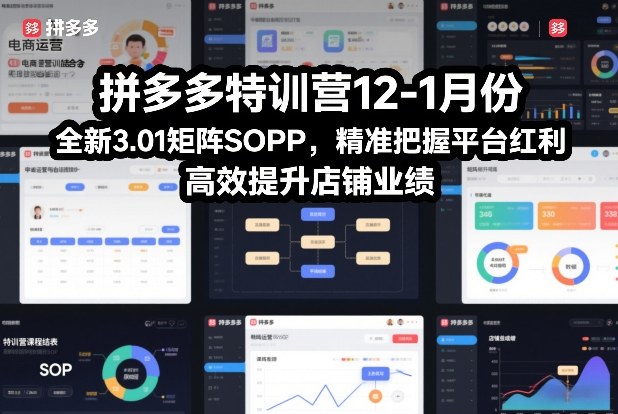 拼多多特训营12-1月份，全新3.01矩阵Sop，精准把握平台红利，高效提升店铺业绩-皮皮网创
