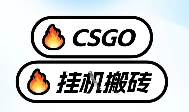 真全网独家CSGO挂G，最新玩法,单日捡漏1K+，不用电脑，不用打游戏【揭秘】-皮皮网创
