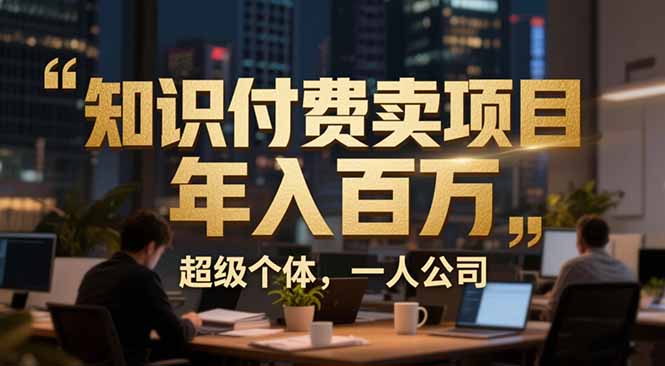 从0到年入百万：超级个体实战心得公开，个人IP×精准引流×成交系统全拆解-皮皮网创
