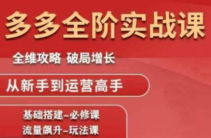 大炮·拼多多全阶实战课程(更新2026)-皮皮网创