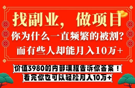 价值3980的网创内部课程，告诉你互联网创业月入10个W的秘密【揭秘】-皮皮网创