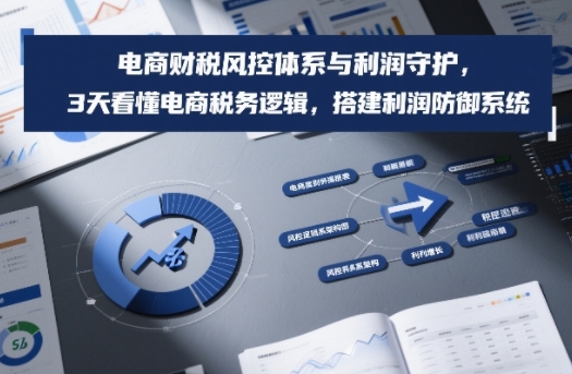 电商财税风控体系与利润守护，3天看懂电商税务逻辑，搭建利润防御系统-皮皮网创