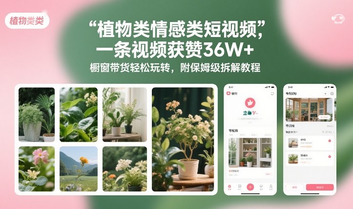 植物类情感类短视频，一条视频获赞36W+，橱窗带货轻松玩转，附保姆级拆解教程-皮皮网创