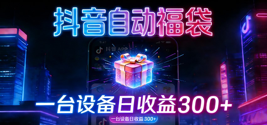 全自动抢福袋神器：24小时不停歇，日产出500＋-皮皮网创