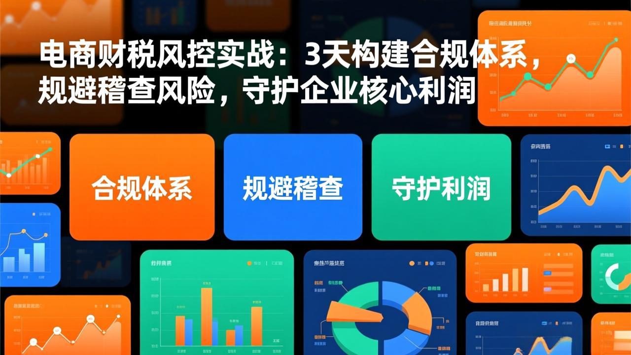 电商财税风控实战：3天构建合规体系，规避稽查风险，守护企业核心利润-皮皮网创