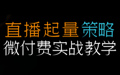 半野老师·直播带货起量与微付费必学课视频号(更新2026)-皮皮网创