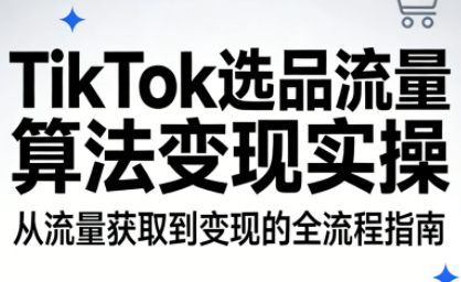 TikTok选品流量算法变现实操-皮皮网创