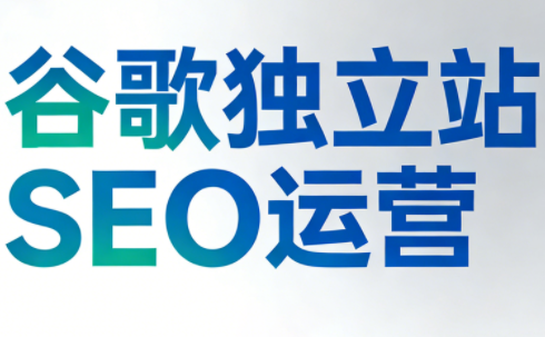 谷歌独立站SEO运营(更新2026)-皮皮网创