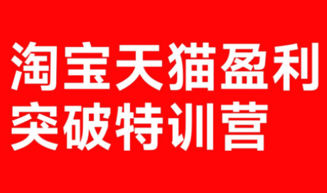 玺承·淘宝天猫盈利突破特训营(25年12月线下课)【音频+字幕】-皮皮网创