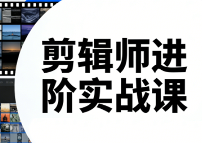 剪辑师进阶实战课(更新23年-25年)-皮皮网创