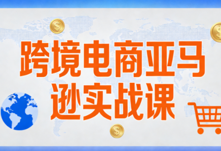 丝丝老师·跨境电商亚马逊实战课(更新2月)-皮皮网创