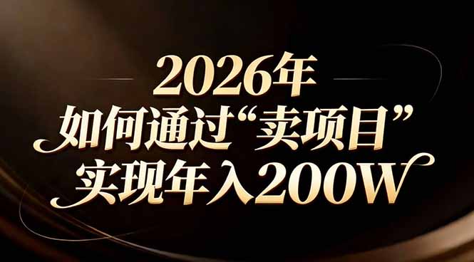 站在2026年的十字路口：一个普通人如何通过卖项目实现年入200万-皮皮网创