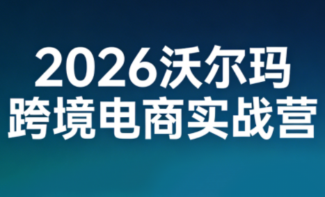 2026沃尔玛跨境电商实战营-皮皮网创