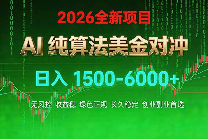 2026 全新美金对冲项目,不套平台赠金,不封号,纯算法对冲,日入 1500-6000+-皮皮网创