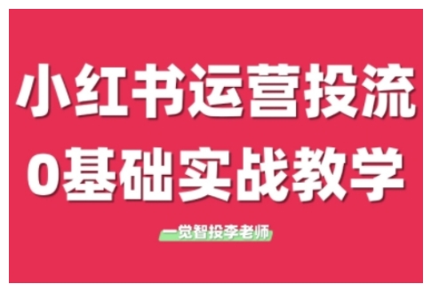 小红书运营投流，小红书广告投放从0到1的实战课，学完即可开始投放(更新26年)-皮皮网创