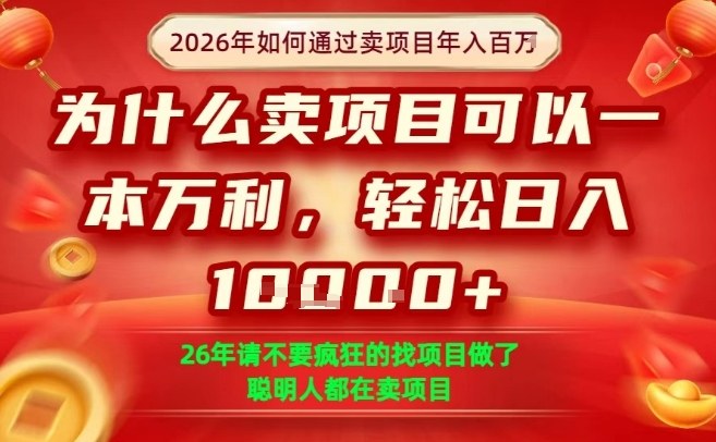 一单净利润1K+,26年想年入100个W,死磕卖项目就够了【揭秘】-皮皮网创