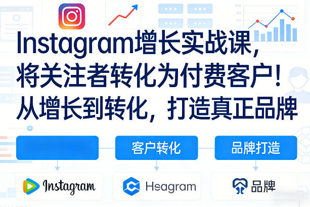 Instagram增长实战课，将关注者转化为付费客户！从增长到转化，打造真正品牌(双语字幕)-皮皮网创