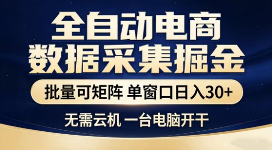 独家电商数据全自动采集项目，批量可矩阵，单窗口轻松日入3张+【揭秘】-皮皮网创