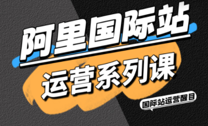 醒目老师·阿里国际站运营系列课(更新3月)-皮皮网创