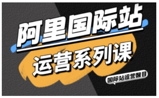 阿里国际站运营系列课，涵盖精准引流、直通车与全站推实战SOP，搭配AI效率工具包与高阶增长玩法(更新)-皮皮网创