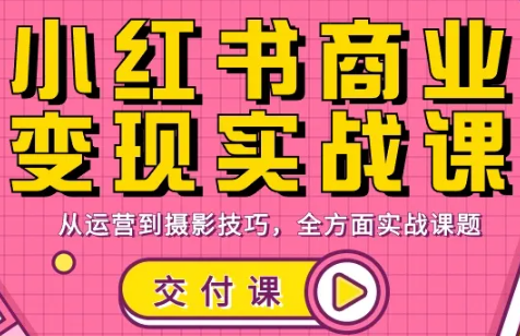 饭饭老师·小红书商业变现实战课-皮皮网创