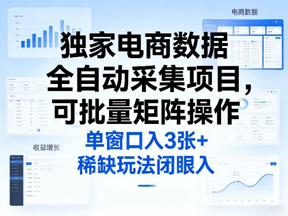 独家电商数据全自动采集项目，可批量矩阵操作，单窗口日入3张+，稀缺玩法闭眼入【揭秘】-皮皮网创