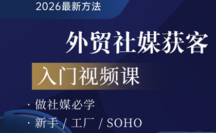 2026外贸社媒获客入门课-皮皮网创