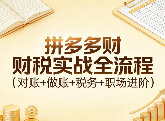 拼多多财税实战全流程(对账+做账+税务+职场进阶)-皮皮网创