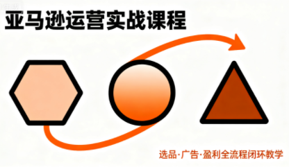 毕方电商·亚马逊全站会员课程(更新3月)-皮皮网创