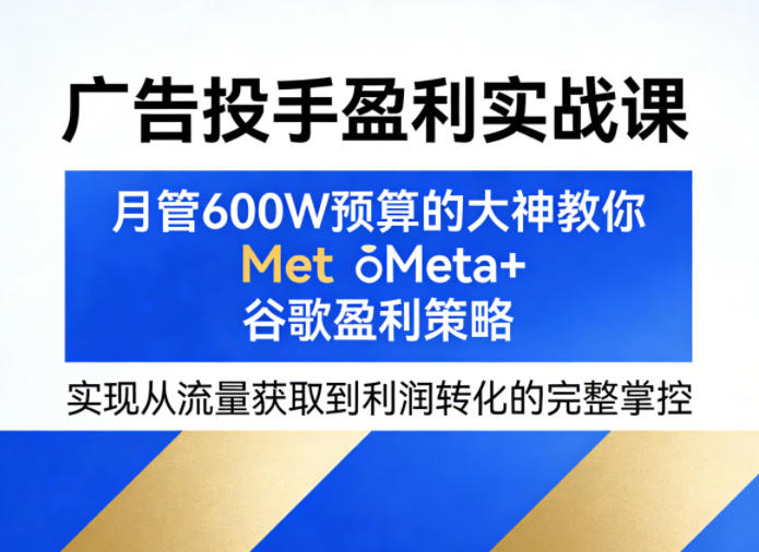 广告投手盈利实战课，月管600W预算的大神教你Meta+谷歌盈利策略，实现从流量获取到利润转化的完整掌控-皮皮网创
