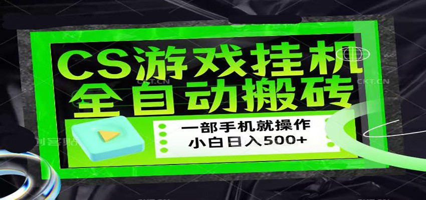 CSGO游戏挂机捡漏搬砖，超稳定的项目，带领1000+小白实现日入500+-皮皮网创