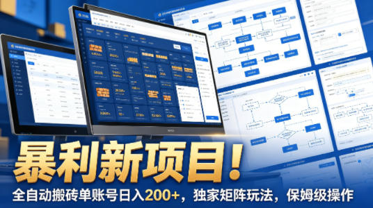 暴利新项目！全自动搬砖单账号日入200+，独家矩阵玩法，保姆级操作【揭秘】-皮皮网创