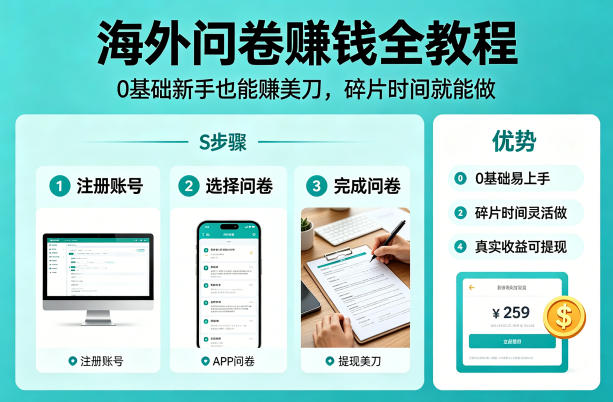海外问卷賺钱全教程，0基础新手也能賺美刀，碎片时间就能做-皮皮网创