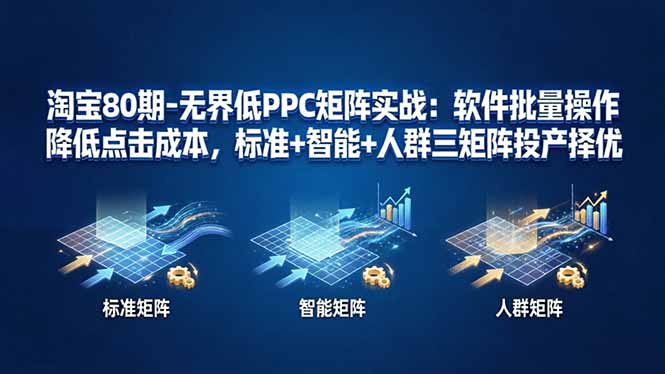 淘宝80期-无界低PPC矩阵实战:软件批量操作降低点击成本,标准+智能+人群三矩阵投产择优-皮皮网创