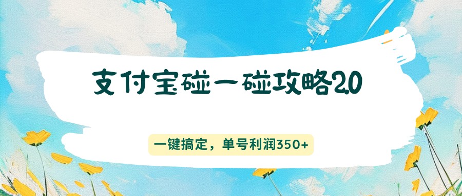 支付宝碰一碰攻略2.0，一键搞定，单号利润350+-皮皮网创