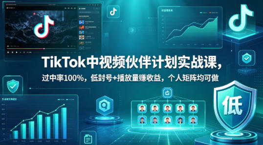 TikTok中视频伙伴计划实战课，过中率100%，低封号+播放量賺收益，个人矩阵均可做-皮皮网创