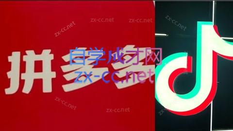 老陶电商·拼多多+抖音小店无货源开店(更新4月)-皮皮网创