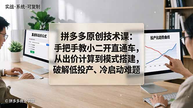 拼多多原创技术课：手把手教小二开直通车，从出价计算到模式搭建，破解低投产、冷启动难题-皮皮网创