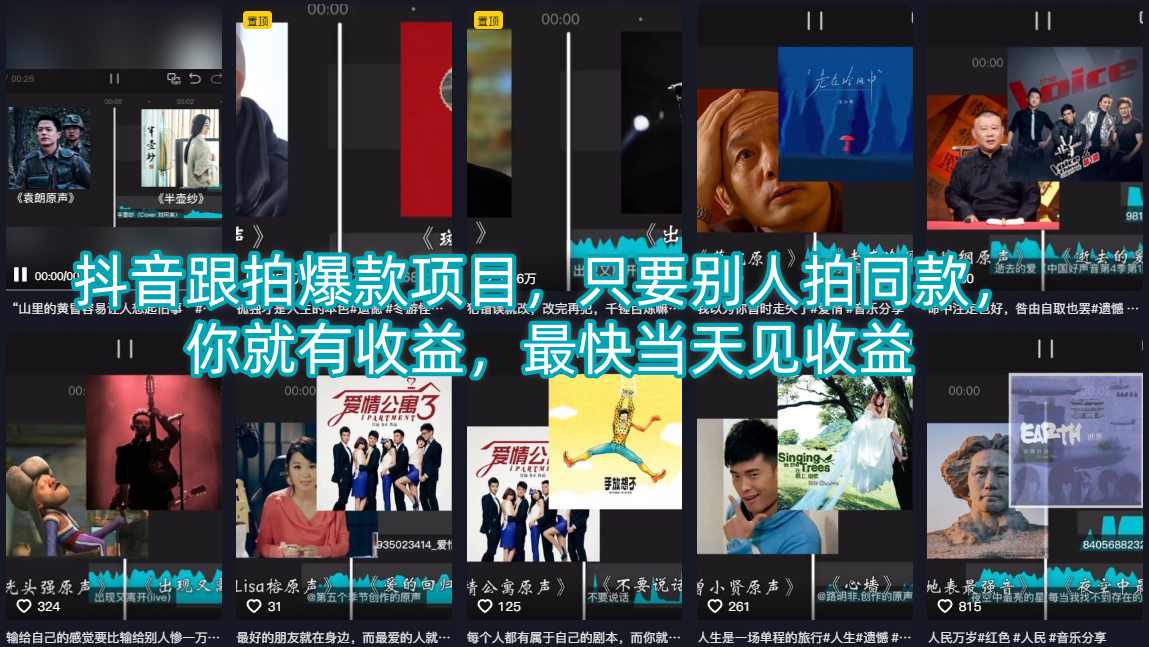抖音跟拍爆款项目，只要别人拍同款，你就有收益，最快当天见收益-皮皮网创