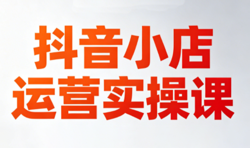 李老师·抖音小店运营实操课(更新2026)-皮皮网创