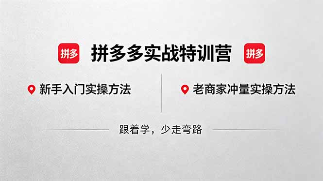 拼多多实战特训营(更新5月3-皮皮网创