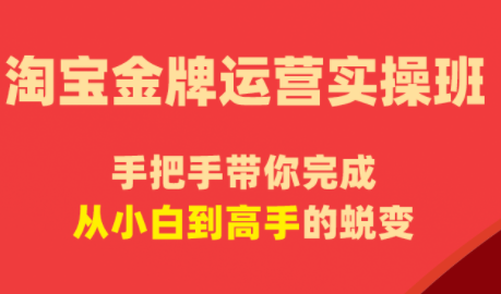 飓风电商·淘宝金牌运营实操班-皮皮网创