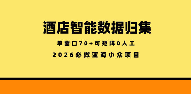 酒店智能数据归集，小众蓝海已经稳定半年之久，单窗口70+零成本矩阵开干【揭秘】-皮皮网创