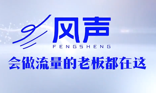 董十一·风声短视频AI获客年度会员-皮皮网创