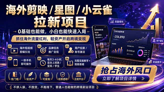 海外剪映 / 星图 / 小云雀拉新项目 普通人也能上手的跨境流量变现副业-皮皮网创