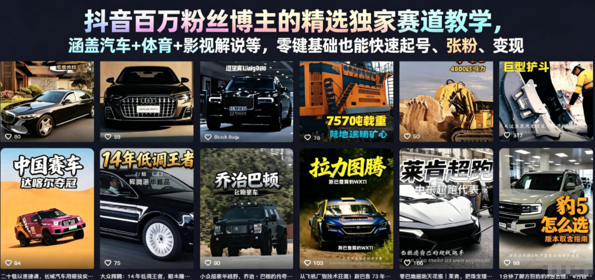 抖音百万粉丝博主的精选独家赛道教学,涵盖汽车+体育+影视解说等,零基础也能快速起号、涨粉、变现-皮皮网创