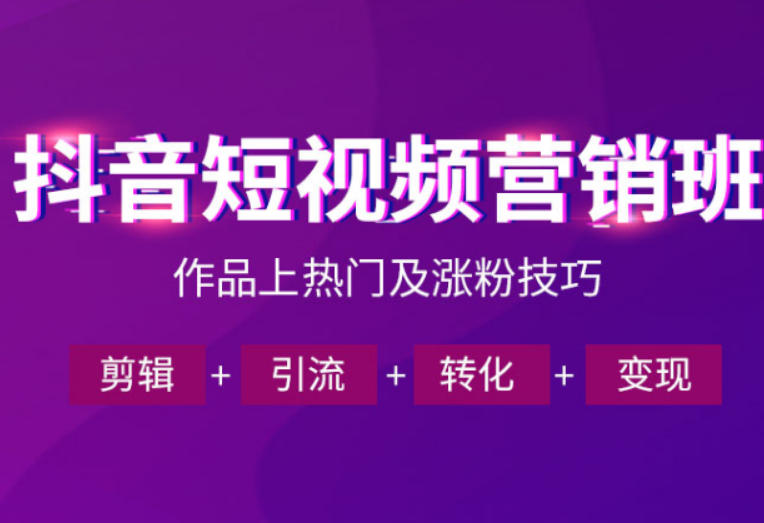 抖音短视频运营班，一门课学会作品上热门及涨粉技巧，引流转化剪辑变现(2026年5月)-皮皮网创