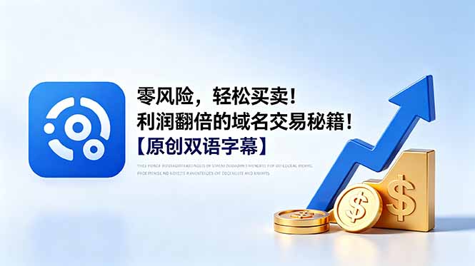 零风险，轻松买卖！利润翻倍的域名交易秘籍！【原创双语字幕】-皮皮网创